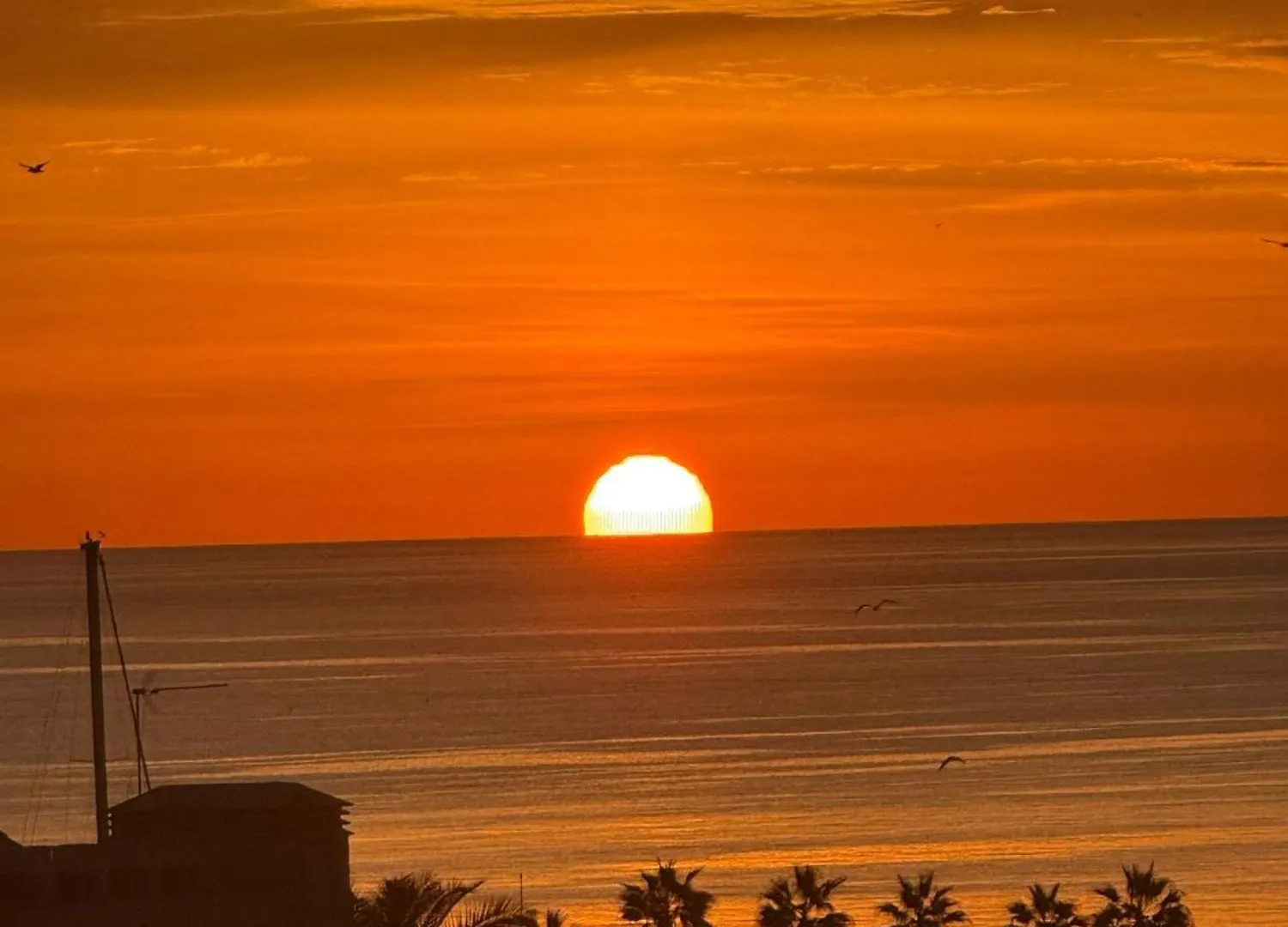 Intermobiliaria Rentals - Puerto Alto B4 6 Estepona Apartamento